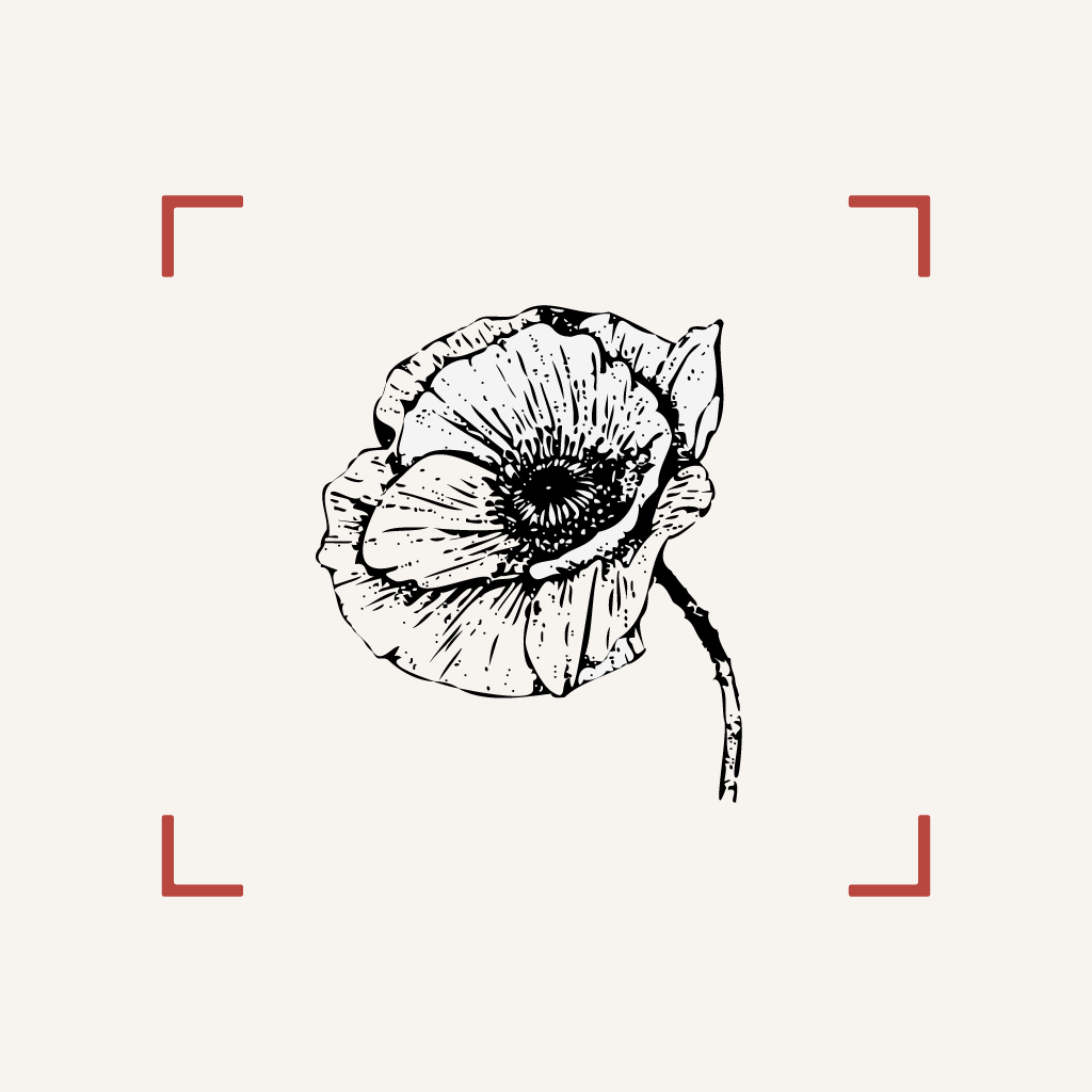 NatureDex Logo